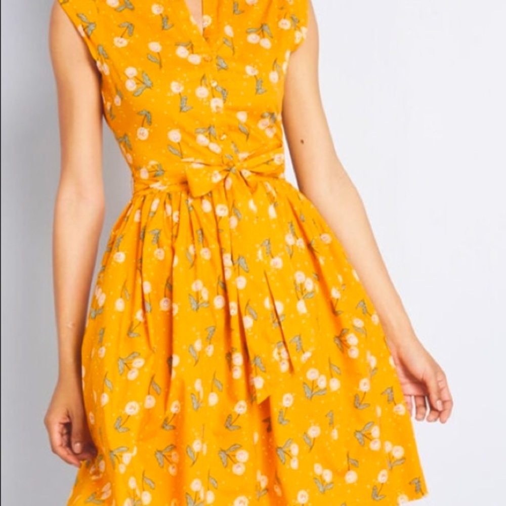 FOUND — ISO ‼️ Princess Highway dandelion dress
